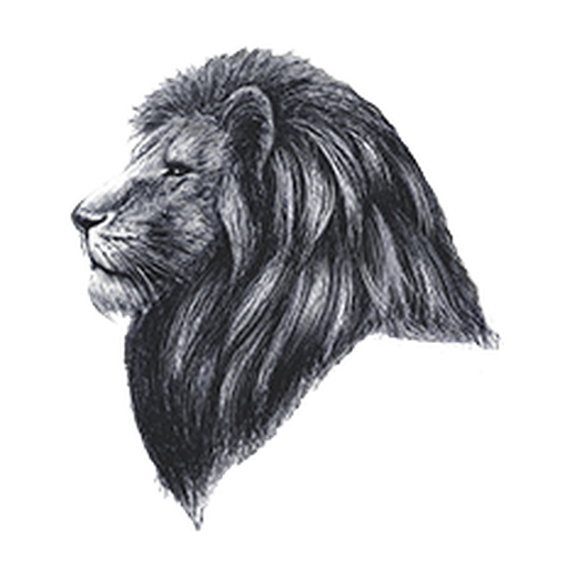 Munga Guesthouse, blason au lion